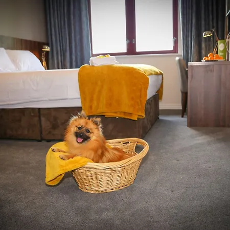 Creggan Court Hotel 3*